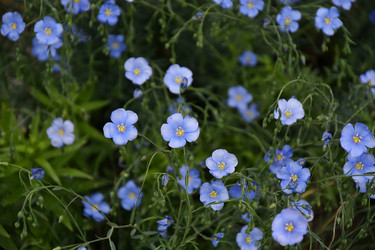 Similar image 21220746