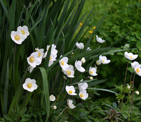 Similar image 21225743