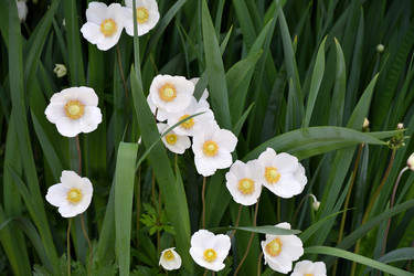 Similar image 21225744