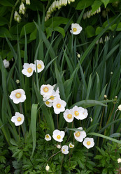 Similar image 21225745