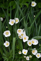 Similar image 21225746