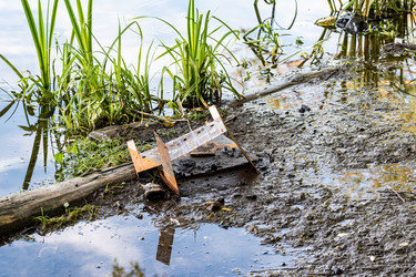 Similar image 21211572