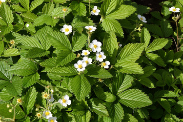 Similar image 21247144