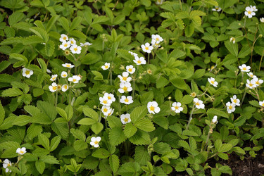 Similar image 21247145