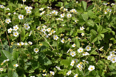 Similar image 21247146