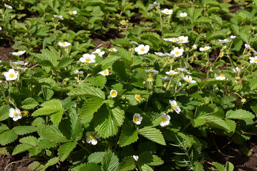 Similar image 21247242