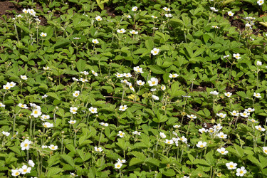 Similar image 21247243