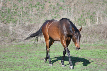 Similar image 21247250