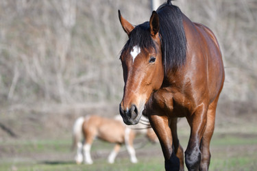 Similar image 21247252