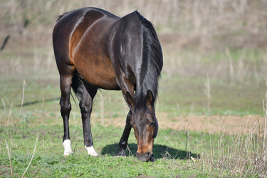 Similar image 21247253