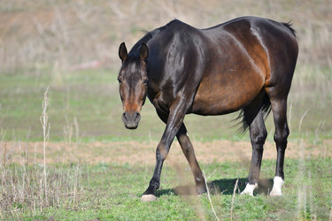 Similar image 21247254