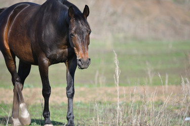 Similar image 21247255