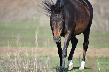 Similar image 21247256