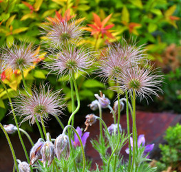 Similar image 21247258