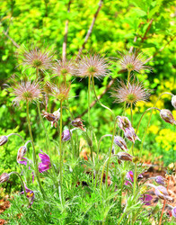 Similar image 21247260