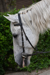 Similar image 21220748