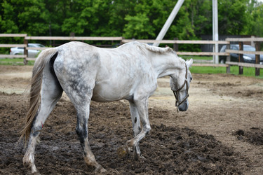 Similar image 21220751