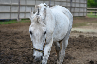 Similar image 21220752