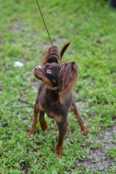 Similar image 21220753