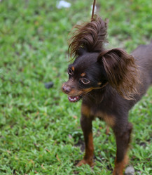 Similar image 21220943