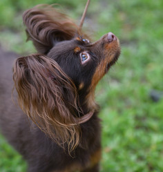 Similar image 21220944