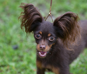 Similar image 21220945