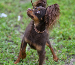 Similar image 21220946