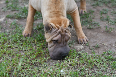 Similar image 21220948