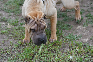 Similar image 21220949