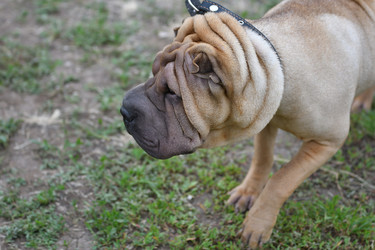 Similar image 21220950