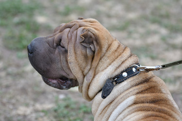 Similar image 21220952