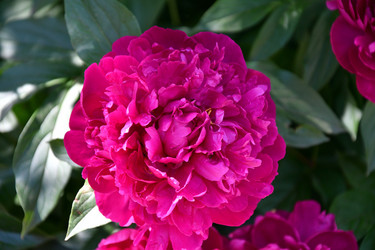 Similar image 21220953