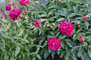 Similar image 21220954