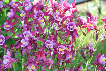 Similar image 21220959