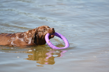 Similar image 21220960