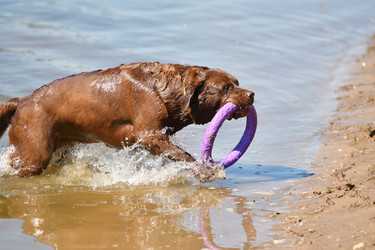 Similar image 21220961