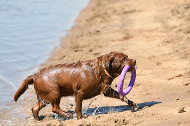 Similar image 21220962