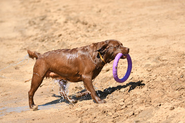 Similar image 21220963