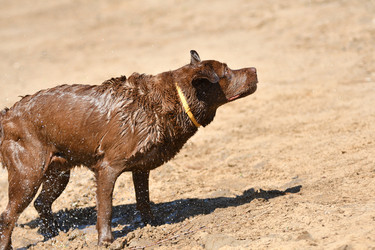 Similar image 21220964