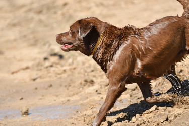 Similar image 21220965