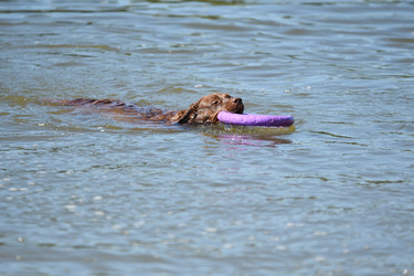 Similar image 21220966