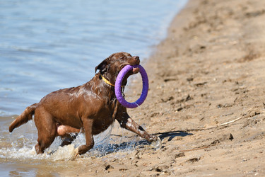 Similar image 21220967