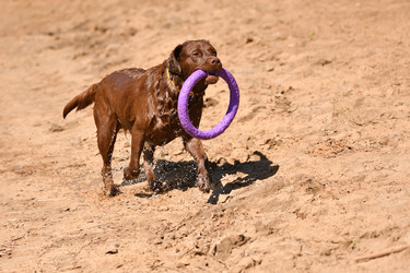 Similar image 21220968