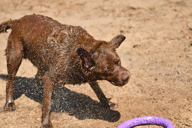 Similar image 21220969