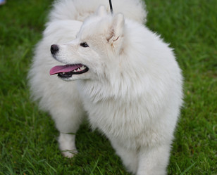 Similar image 21220971