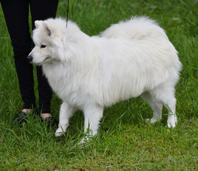 Similar image 21220972