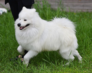 Similar image 21220973