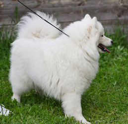 Similar image 21225748