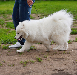 Similar image 21225749