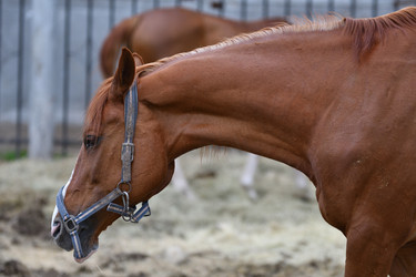 Similar image 21225752